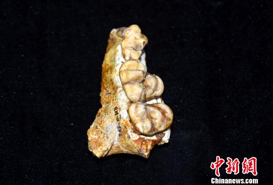 пԺż׵оŶ·ֵռȮܻʯԷ 