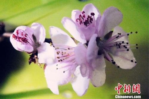 资料图:杨厚伟 摄 点击进入下一页