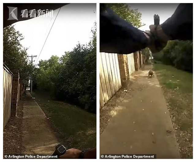 ����һ��������3ǹ��蹷 ����ɵ��ϵ����˱�ɱ