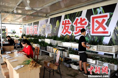 ͼΪ829գҵԱæµ<a target='_blank' href='http://www.chinanews.com/'></a> Ž 