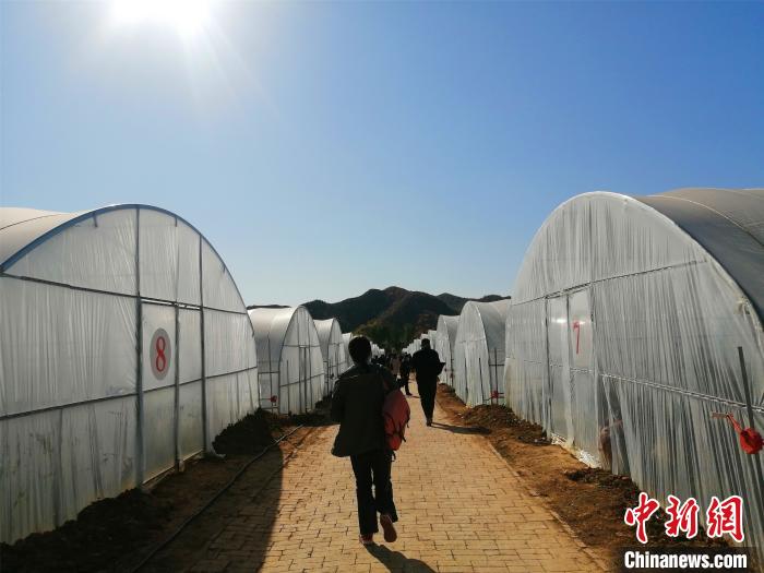 ������ؽ���ʹ�á���� ��