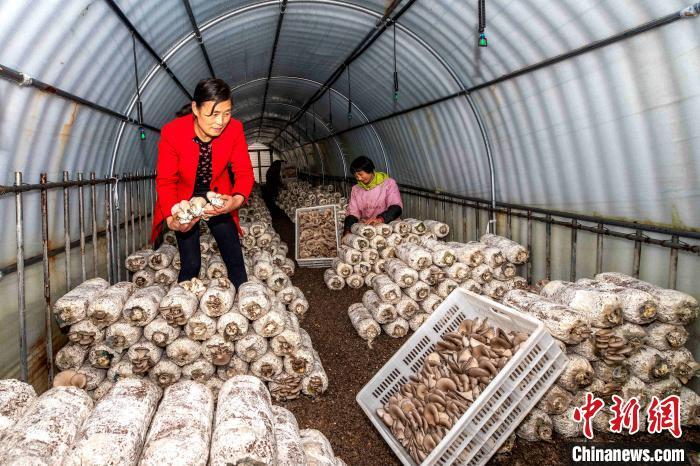 ���������һҳ