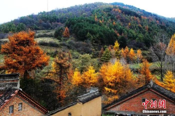 ���������һҳ