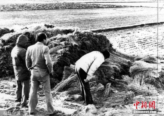 ���������һҳ