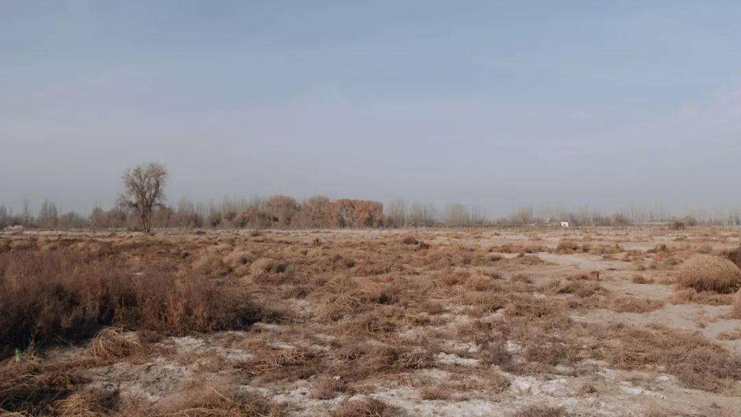 ���������һҳ