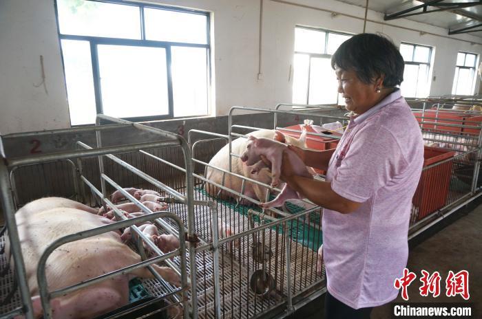 ���������һҳ