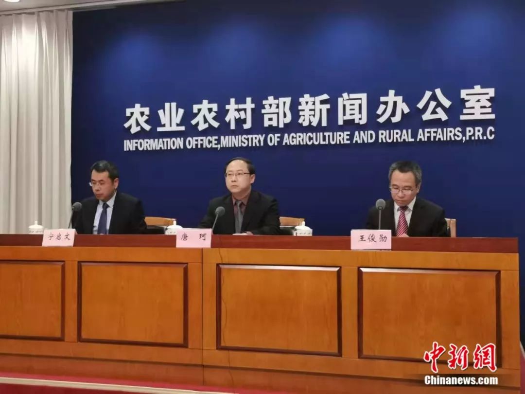 ���������һҳ