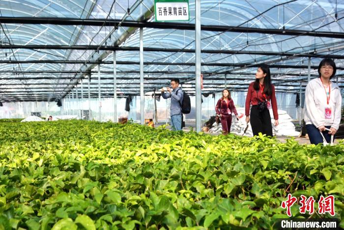 «������ũҵ��ƶ����İ������������������ ��