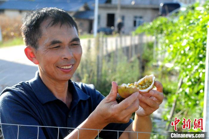 «��嵳֧����Ƿ�ˮ��չʾ����ũҵ��ƶ������ֲ�İ������������ ��