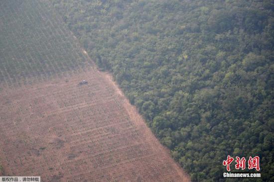 ���������һҳ