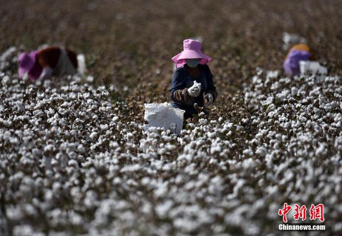 ����ͼ��ʰ�޹��������ڲ�ժ�޻��� ȷ������ ��