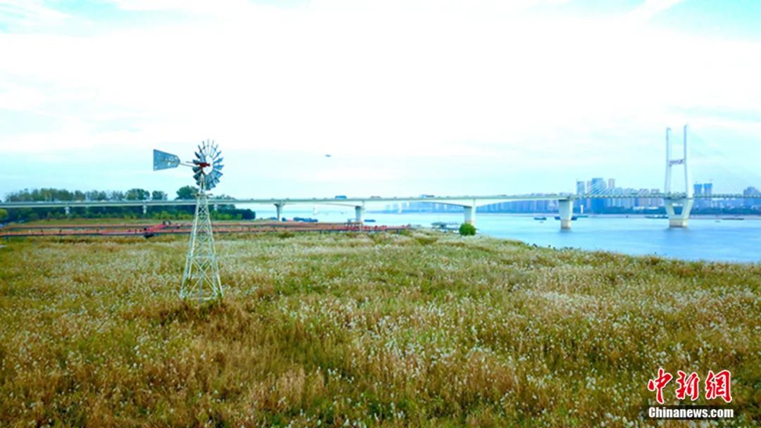 ���������һҳ