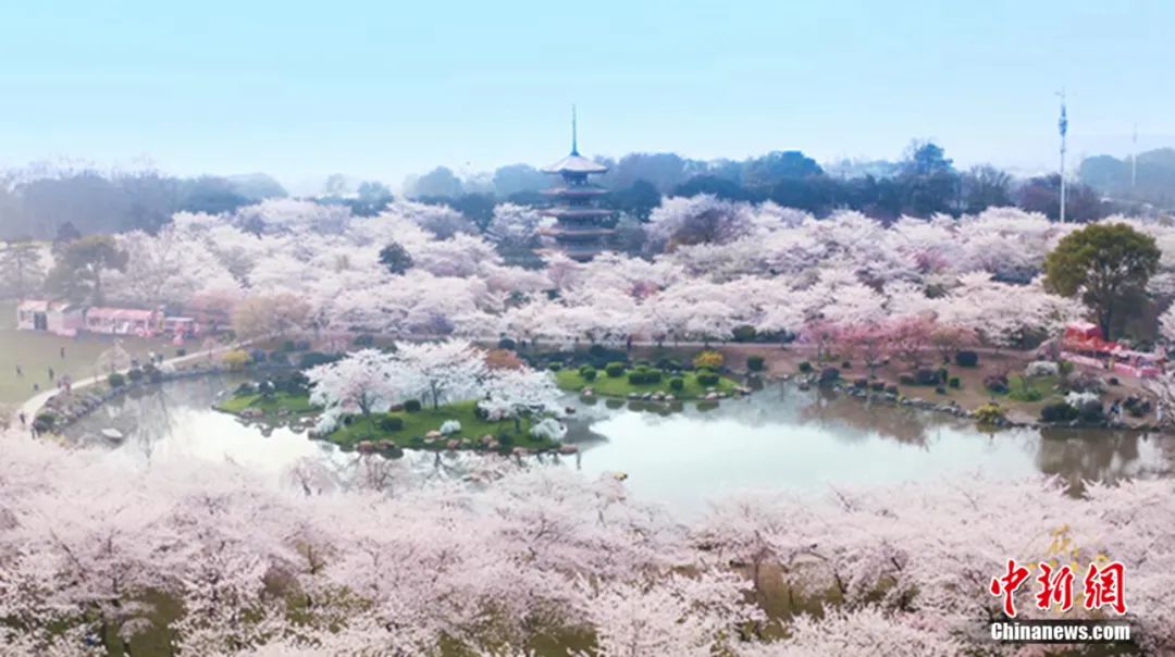 ���������һҳ