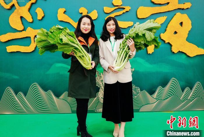 ���������ǳٲ��ĺ�Ӱ�����̾�ΰ ��