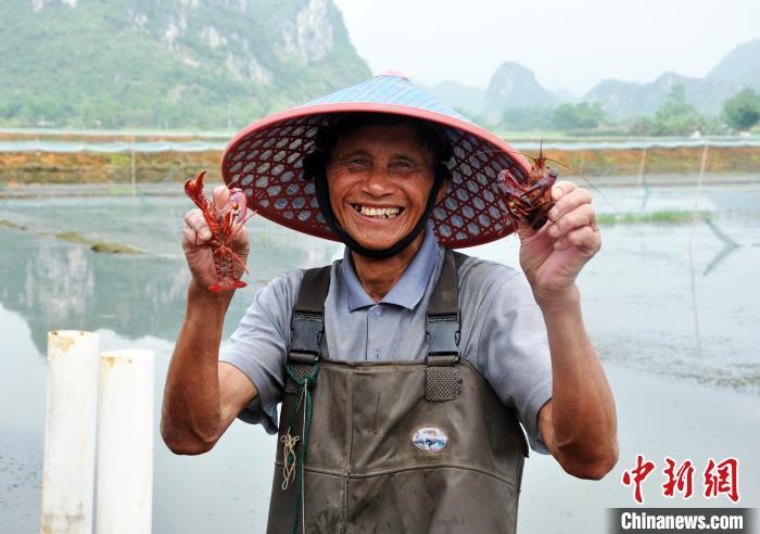 ���������һҳ