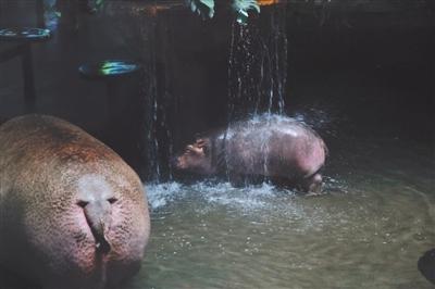 ���������һҳ