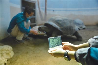 ���������һҳ