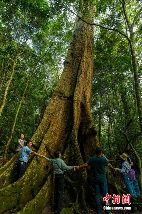 ���������һҳ