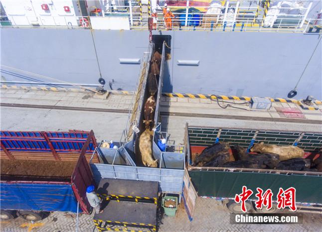 ���������һҳ