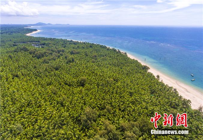 ���������һҳ