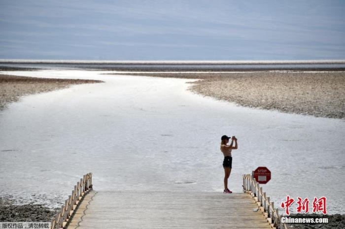 ���������һҳ