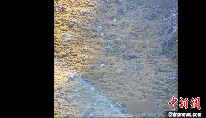 ��Ⱥ���͹����ڰ�ɽ�����������¿��� ��