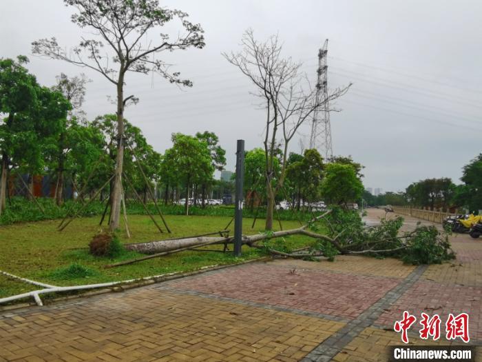 ���������һҳ