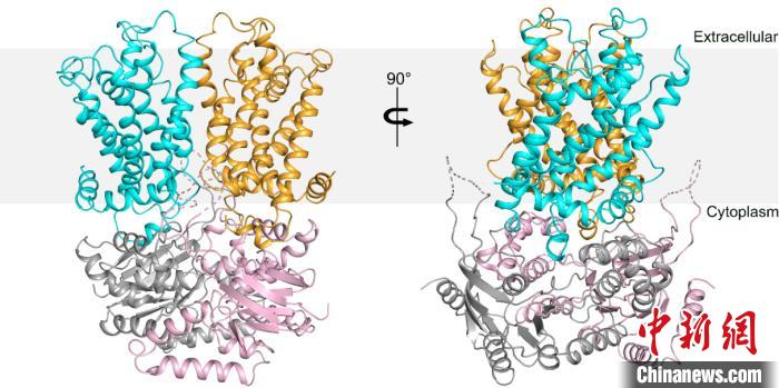 �й�ѧ�ߡ�����ϸ�������ƻ����о�ȡ����Ҫ��չ