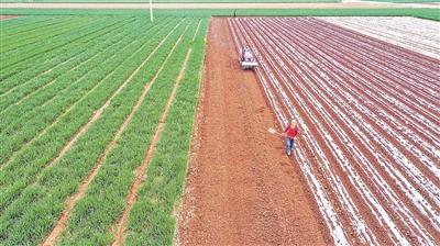 ���������һҳ