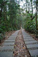 青龙山步道