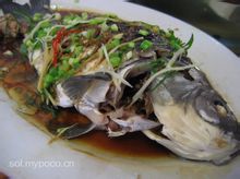 镜泊湖鲫 镜泊湖鲫