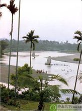 东郊椰林