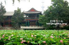 古莲花池 古莲花池