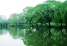 玄武湖