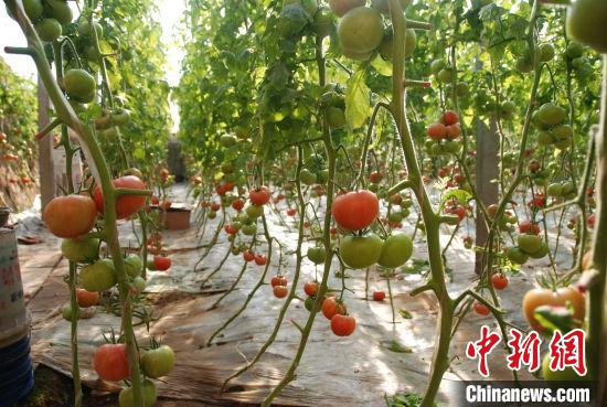 ���ִ������������Ŀ�Ͳִ���Ŀ���ڽ����У���һ�����Խ����߲���ӹ�����������������������ƹϣ���ߴ��������ͬʱ�����ܵ����г��۸񲨶�������� ��