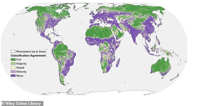 1����ȫ���ͼ�Ƚ�����������Ӱ���������ɫ���֣��͸�Ӱ���������ɫ���֣�����ͼ��ʾ��4���������ݼ�֮���һ�³̶ȡ�