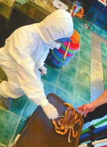 ���������һҳ