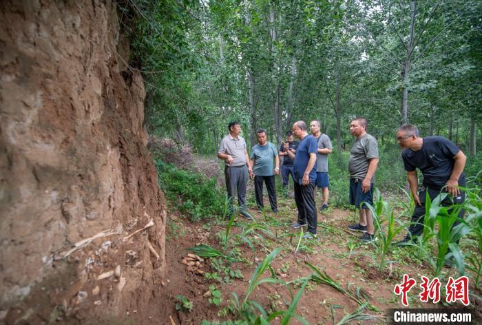 ���������һҳ