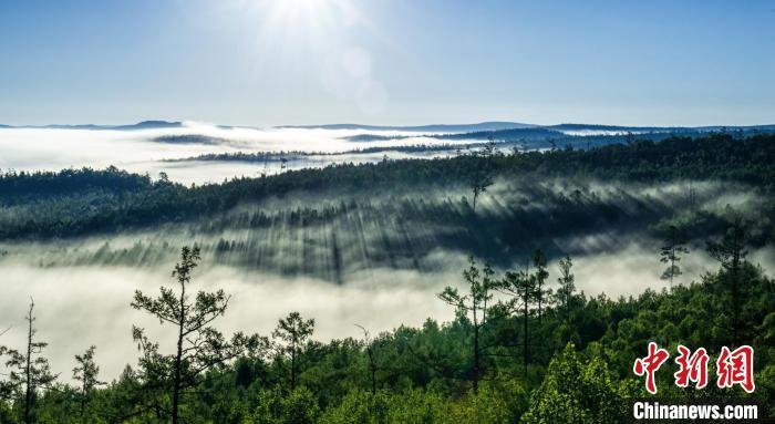 ���������һҳ