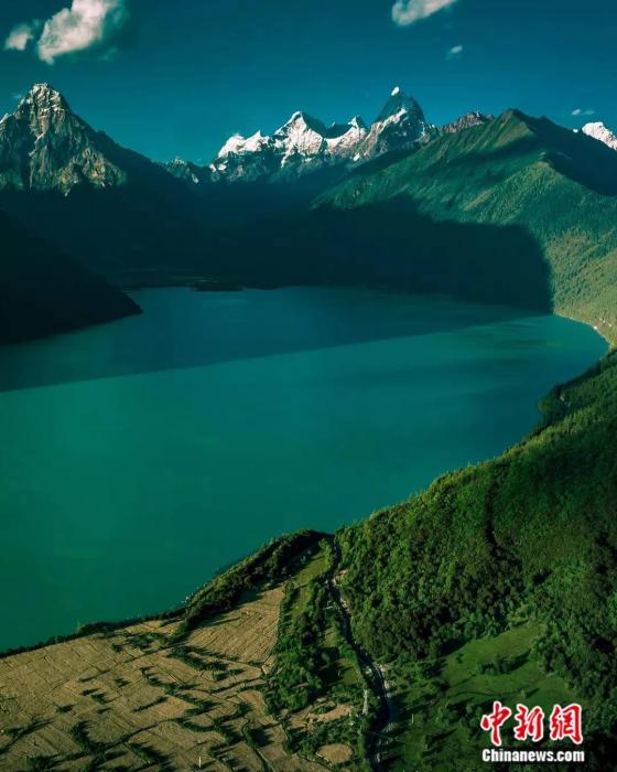 ���������һҳ