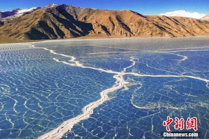 ���������һҳ