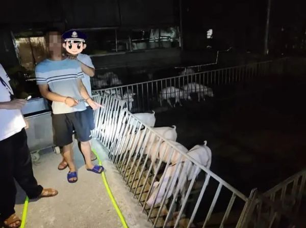 ����������ָ���ֳ���������ͼ