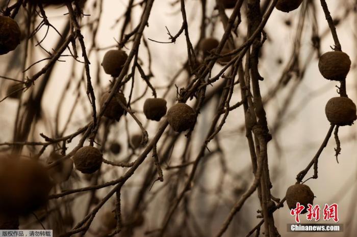 ���������һҳ