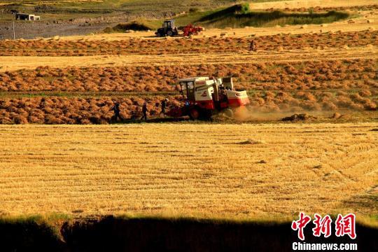 ���������һҳ