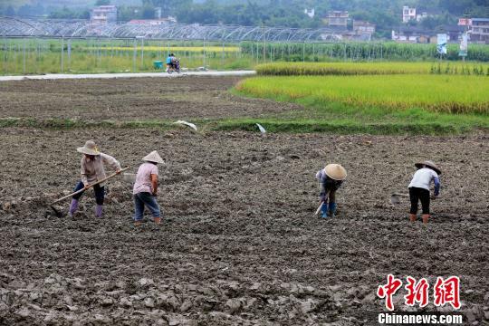 ���������һҳ