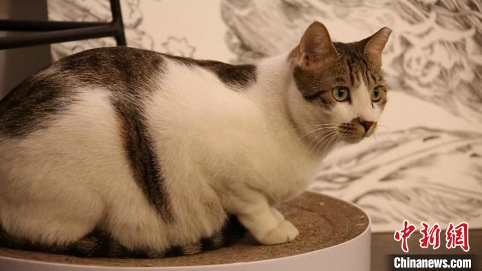 ���޶���̽�� ����� ��