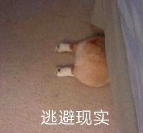 ���������һҳ