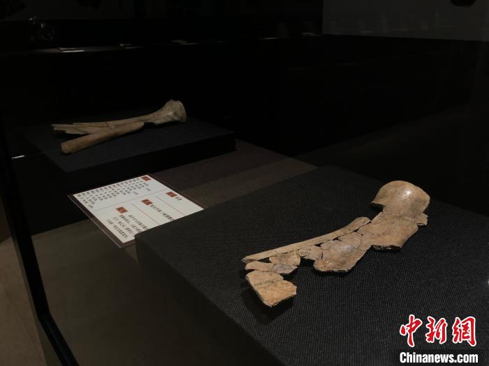 �����״μ���չʾһ���̴��׹�