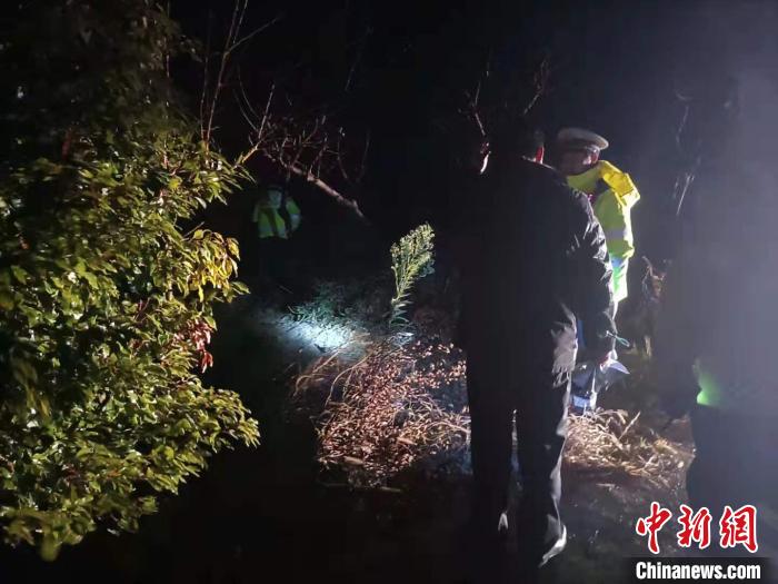 �������Ȼ���Ѹ�ٸϵ��ֳ� �±� ��