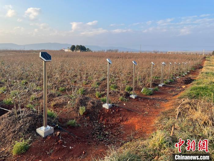 ͼΪʯ��̨��԰ũ���������顣������� ��